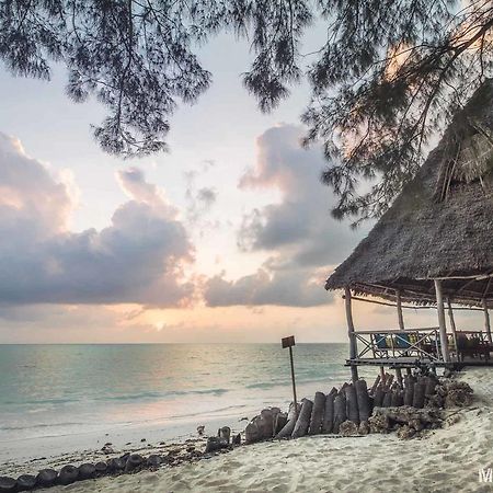 Ndame Beach Lodge Paje Εξωτερικό φωτογραφία