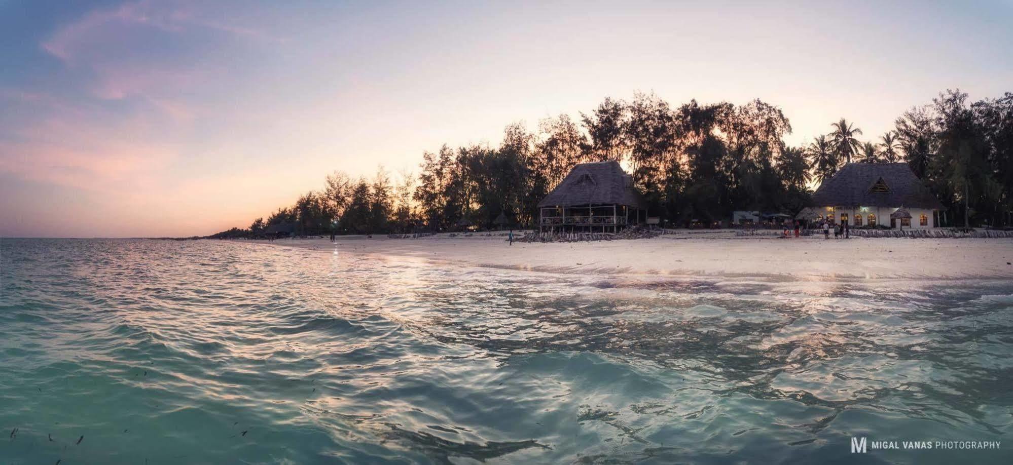 Ndame Beach Lodge Paje Εξωτερικό φωτογραφία