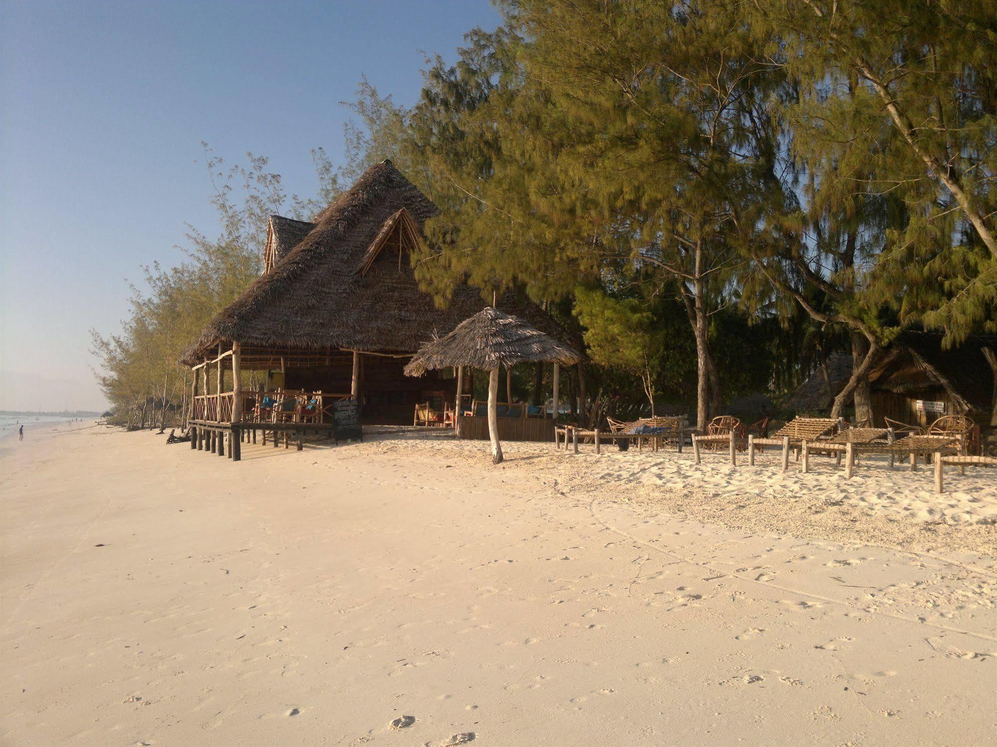 Ndame Beach Lodge Paje Εξωτερικό φωτογραφία